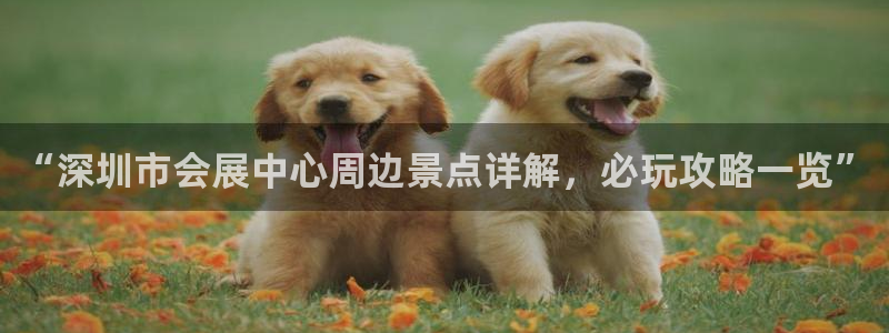果博官网：“深圳市会展中心周边景点详解，