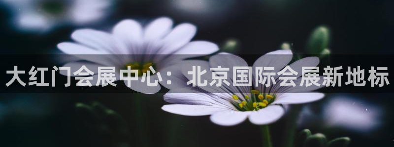 果博注册客服电话是多少啊：大红门会展中心