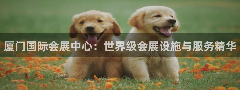 果博公司会员注册账号：厦门国际会展中心：