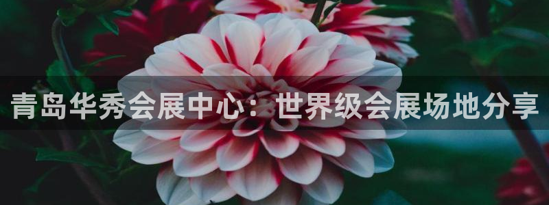 果博公司网站
