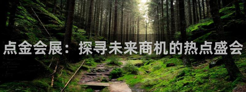 果博平台真实吗知乎推荐：点金会展：探寻未来商机的热点盛会
