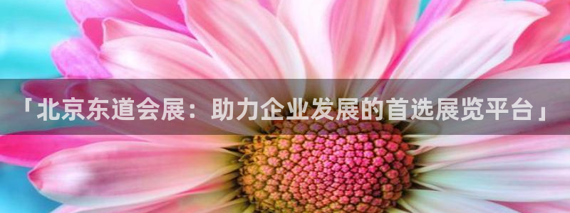 果博公司客服微信