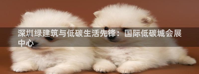 果博公司会员账号开户