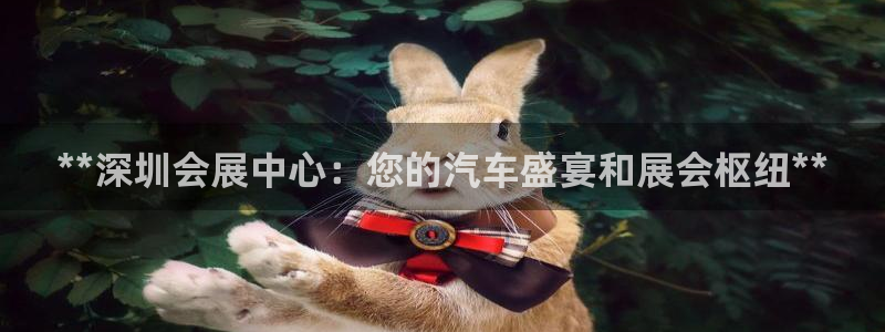 果博官网在银博