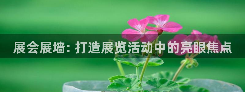 果博公司会员注册账号
