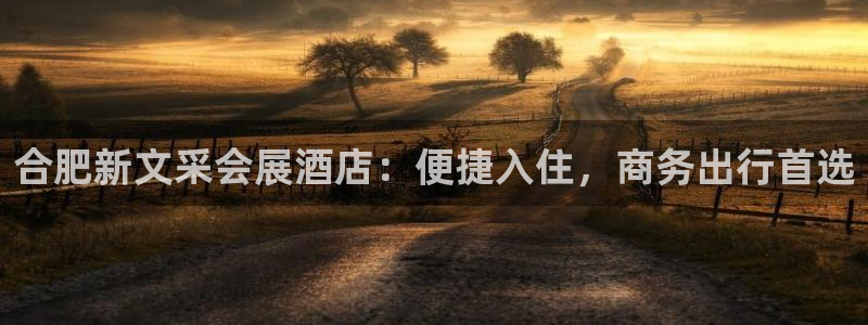 果博真人：合肥新文采会展酒店：便捷入住，商务出行首选