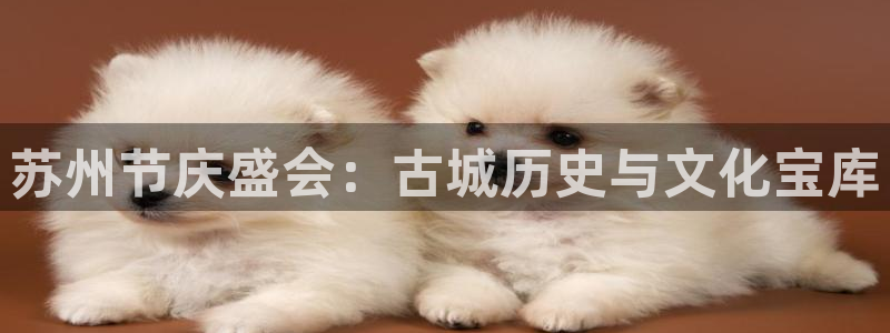 果博注册账号链接：苏州节庆盛会：古城历史与文化宝库