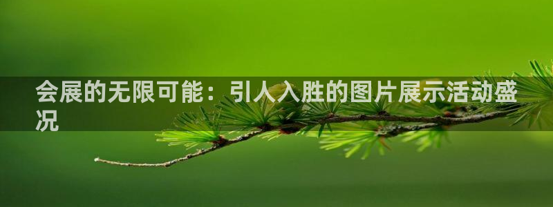 果博代理电话多少：会展的无限可能：引人入胜的图片展示活动盛
况