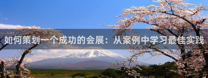 果博平台电话：如何策划一个成功的会展：从案例中学习最佳实践