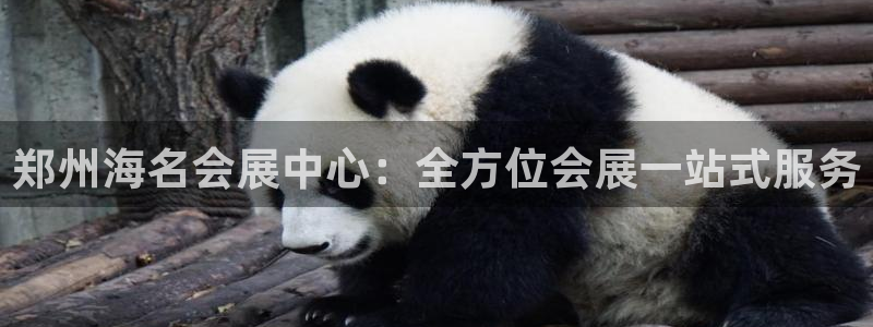 果博注册客服电话号码是多少：郑州海名会展中心：全方位会展一站式服务