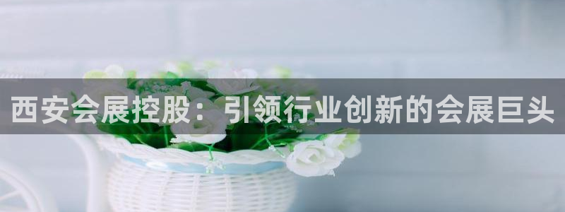 果博官网电话：西安会展控股：引领行业创新