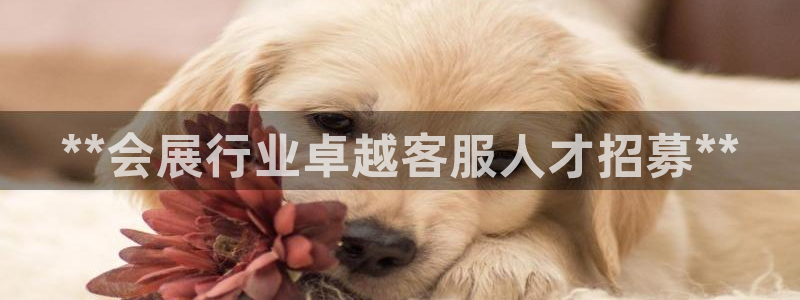 果博平台真实吗知乎怎么样：**会展行业卓越客服人才招募**