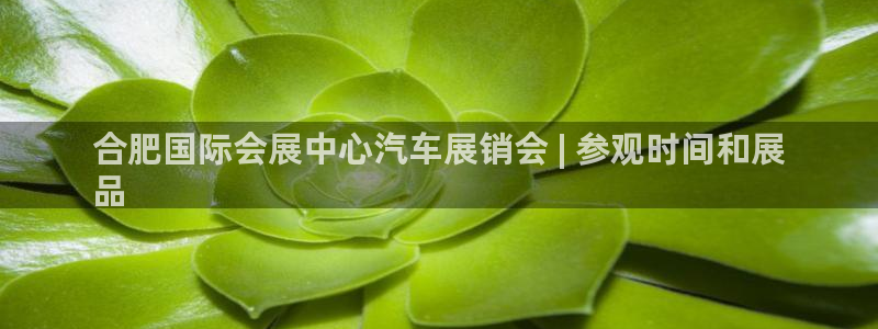 果博gbe168：合肥国际会展中心汽车展