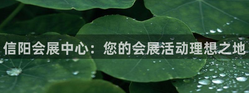 果博账号注册要钱吗：信阳会展中心：您的会展活动理想之地