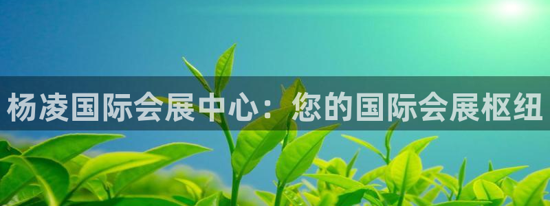 果博平台客服：杨凌国际会展中心：您的国际会展枢纽