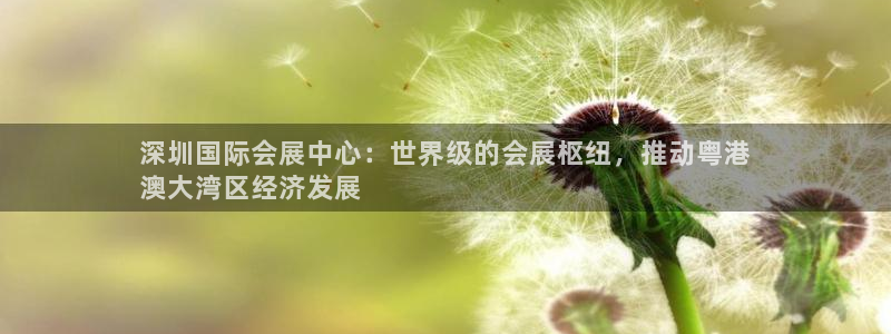果博平台开户电话：深圳国际会展中心：世界级的会展枢纽，推动粤港
澳大湾区经济发展