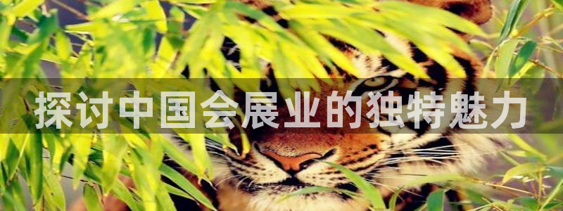 果博是怎么登录的：探讨中国会展业的独特魅力