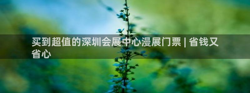 果博官方网：买到超值的深圳会展中心漫展门票 | 省钱又
省心