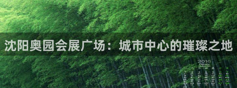 果博公司怎么注册会员：沈阳奥园会展广场：城市中心的璀璨之地