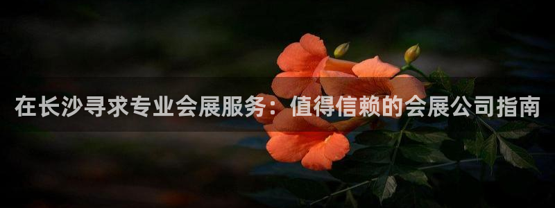 果博注册客服电话：在长沙寻求专业会展服务