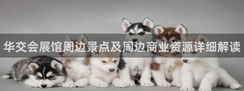 果博平台真实吗安全吗是真的吗：华交会展馆周边景点及周边商业资源详细解读