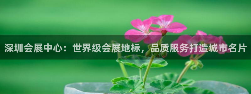 果博官网在银博：深圳会展中心：世界级会展