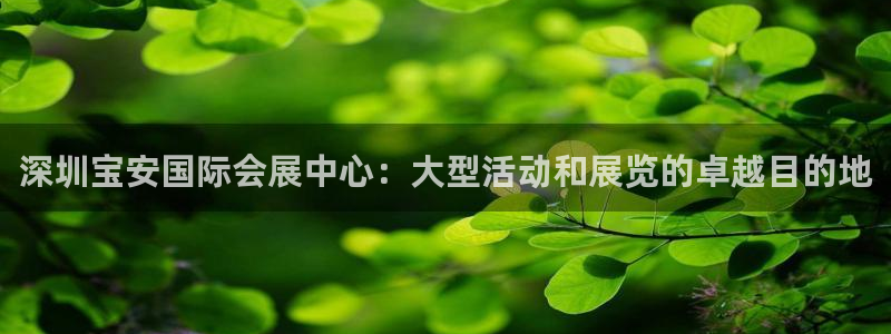 果博平台开户电话是多少：深圳宝安国际会展中心：大型活动和展览的卓越目的地
