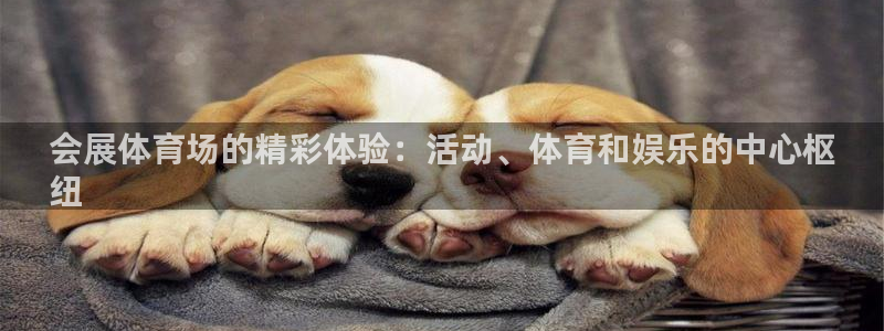 手机怎样下载果博：会展体育场的精彩体验：活动、体育和娱乐的中心枢
纽