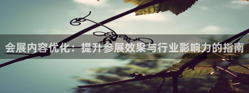 果博app官网下载：会展内容优化：提升参展效果与行业影响力的指南
