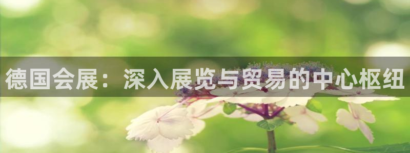 果博注册电话