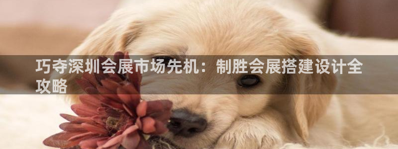 果博平台真实吗：巧夺深圳会展市场先机：制胜会展搭建设计全
攻略