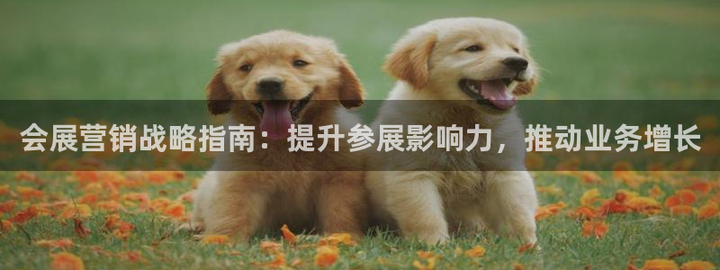 果博注册客服电话是多少：会展营销战略指南：提升参展影响力，推动业务增长