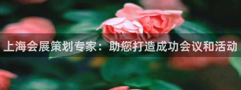 果博平台怎么下载?：上海会展策划专家：助您打造成功会议和活动