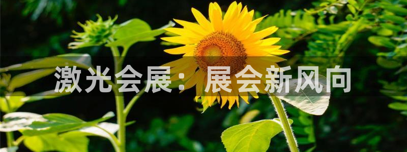 果博平台赖不赖