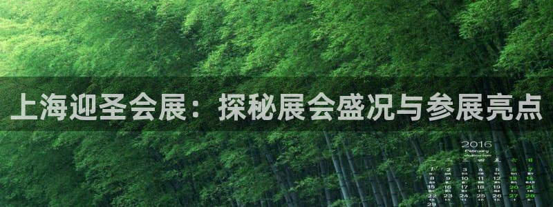果博公司客服微信怎么加：上海迎圣会展：探秘展会盛况