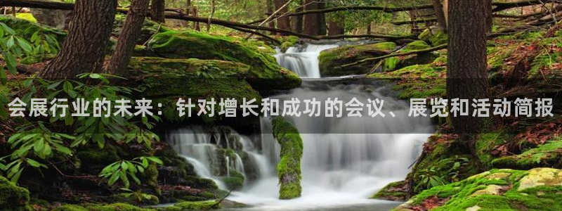 果博注册平台怎么注册账号：会展行业的未来：针对增长和成功的会议、展览和活动简报