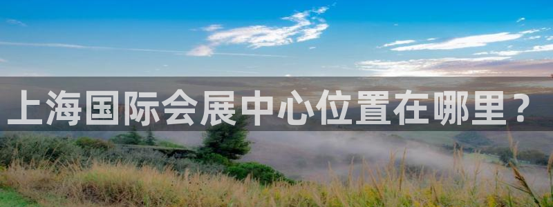 果博公司联系方式：上海国际会展中心位置在