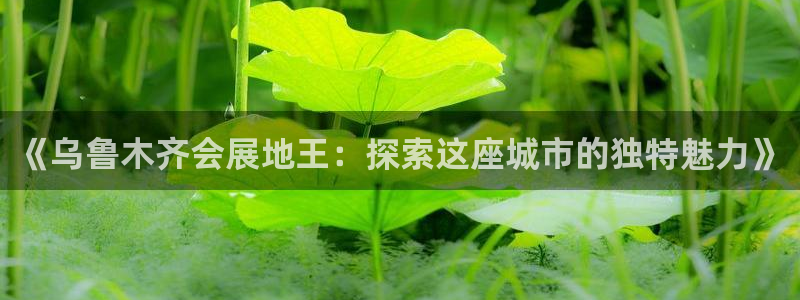 果博公司注册：《乌鲁木齐会展地王：探索这座城市的独特魅力》