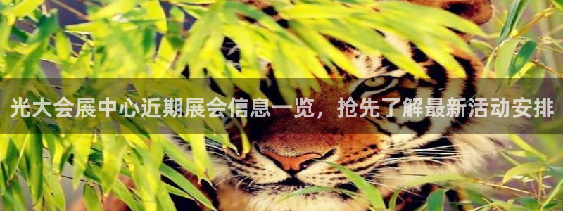 果博公司客服微信号是多少