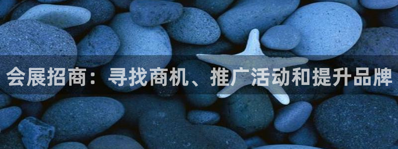 果博注册：会展招商：寻找商机、推广活动和