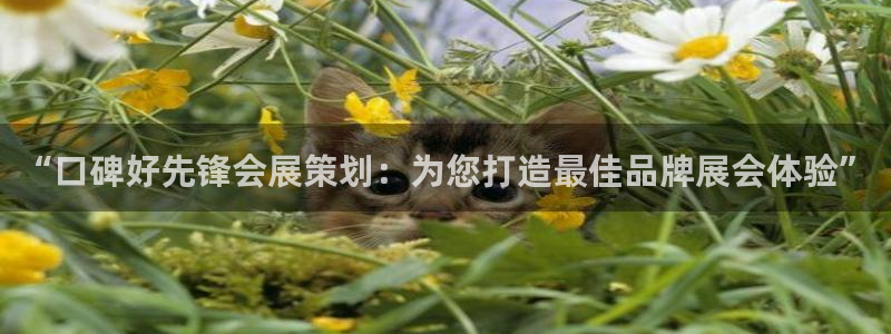 果博注册客服电话：“口碑好先锋会展策划：