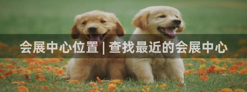 果博注册充值怎么充：会展中心位置 | 查