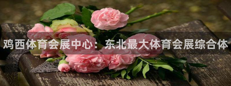 果博有假吗