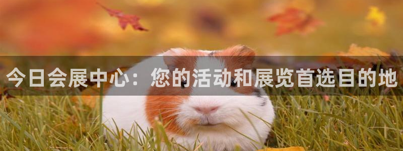苹果电脑怎么下载伯索：今日会展中心：您的